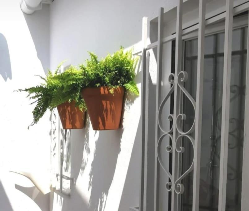 La Marieta, Casita Acogedora Y Centrica Βίλα Castilleja de la Cuesta Εξωτερικό φωτογραφία